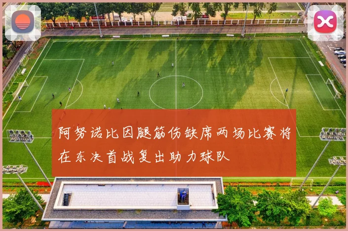 阿努诺比因腿筋伤缺席两场比赛将在东决首战复出助力球队